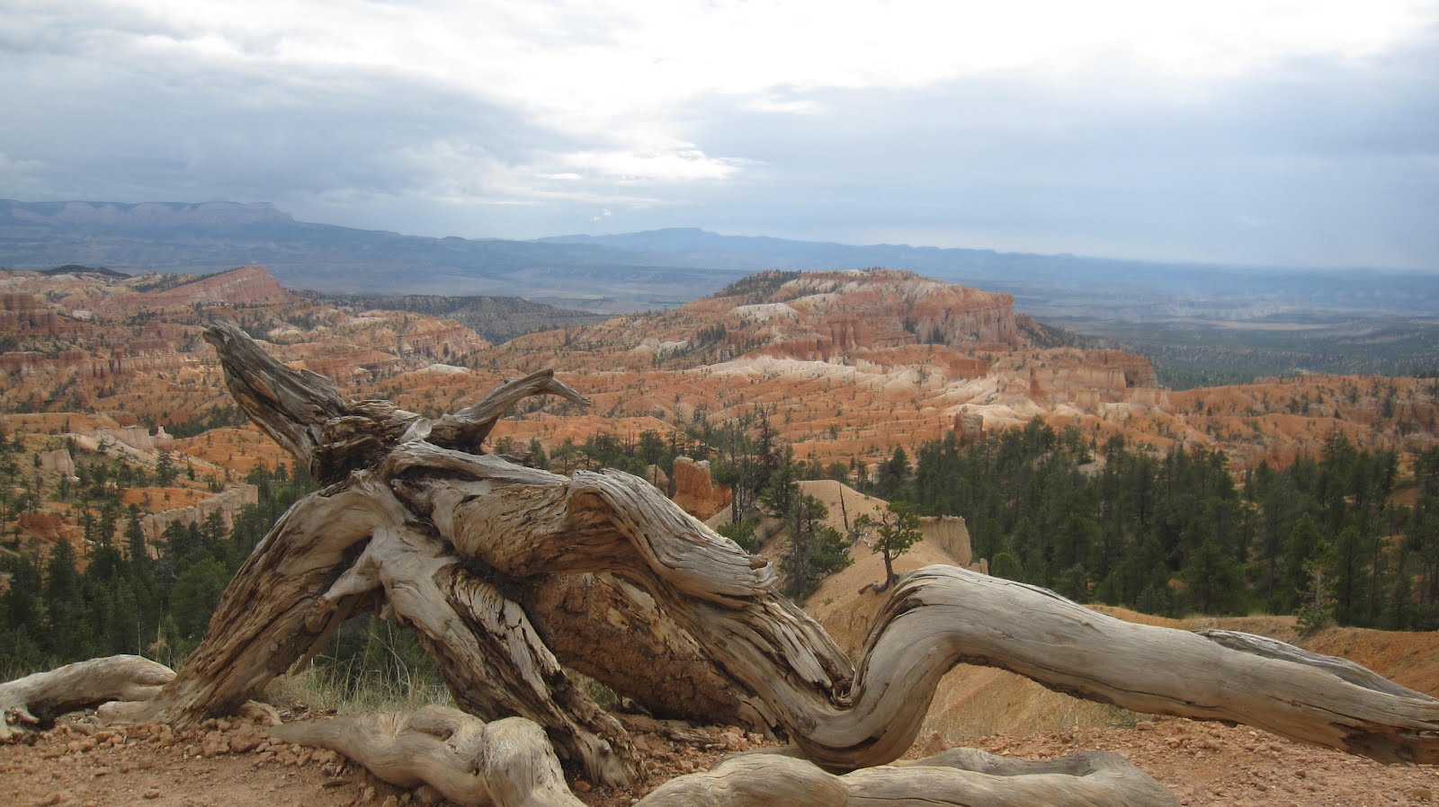 USA 2012-bryce-canyon